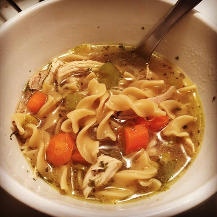 Homemade Chicken Noodle Soup Recipe {Instant Pot}