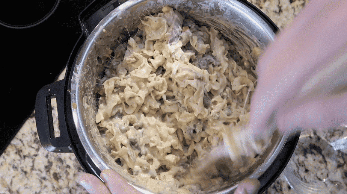 Instant Pot Cockadoodle Noodles (Chicken Noodle Casserole) Pressure
