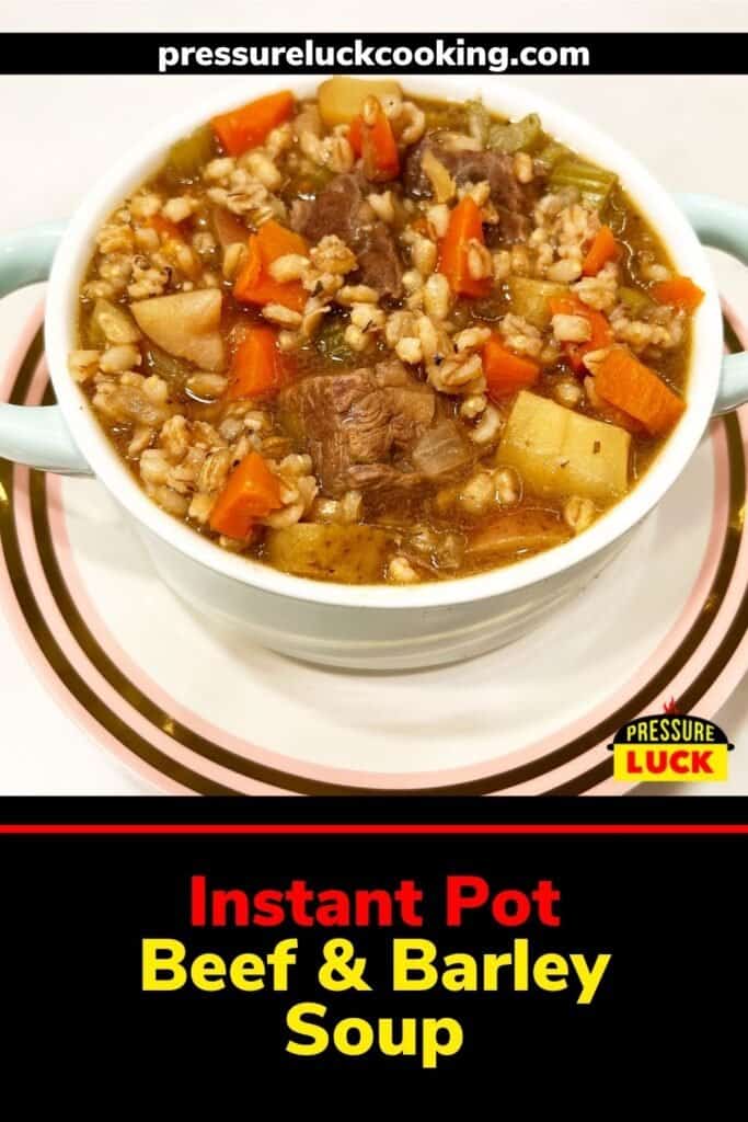 Pressure luck best sale cooking beef stew